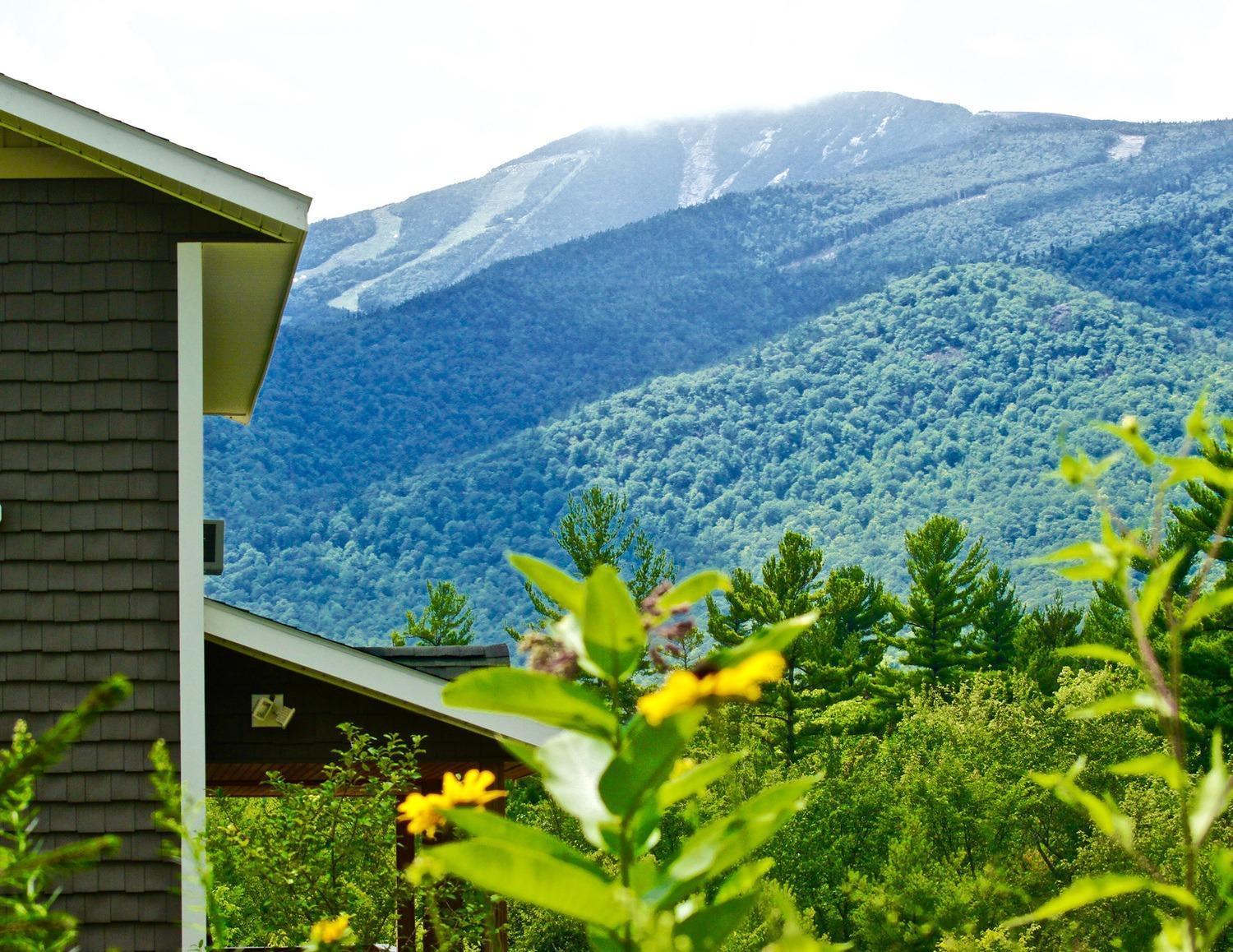 Lookout Mountain Chalet Villa Wilmington Exterior foto